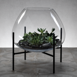 Terrarium Blown Glass on Stand