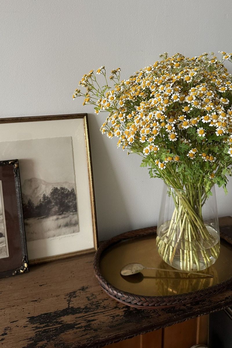 Planters decor